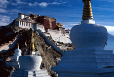 西藏两型资本管理